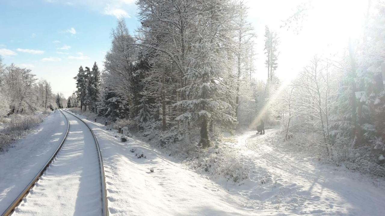 タトランスカ・ ロムニツァTatry Fimaliアパートメント エクステリア 写真